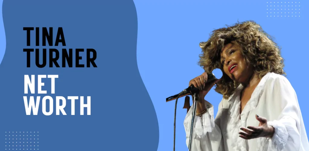 tina turner net worth