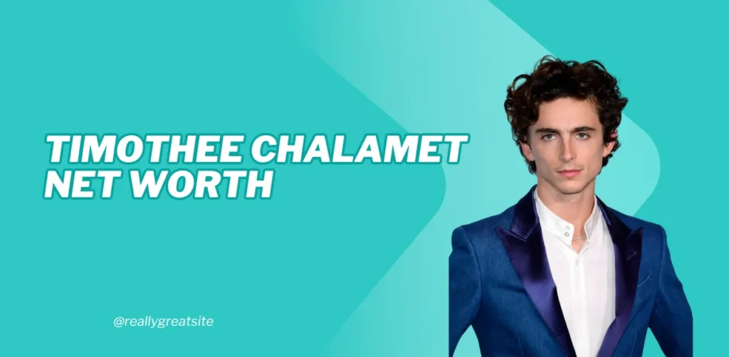 timothee chalamet net worth